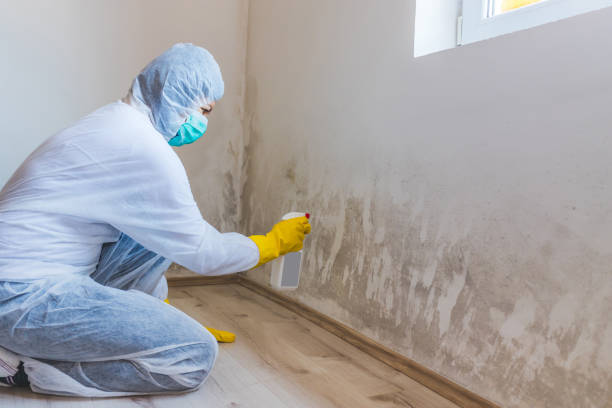 Licensed Bathroom Mold Removal service in Annville, PA - WQB Mold Removal