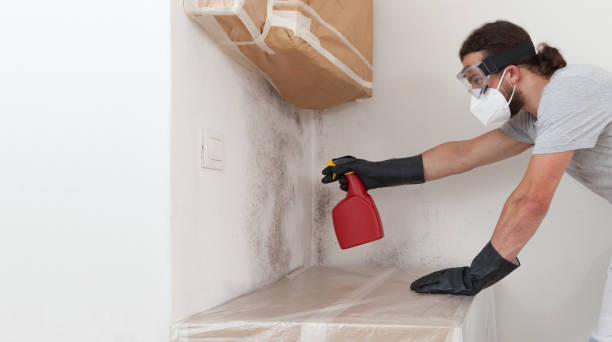 Professional Bathroom Mold Removal technician working in Annville, PA